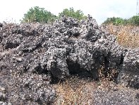 ntrada Ilice-20100905 069
